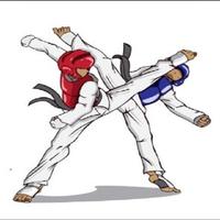 Movimiento de taekwondo captura de pantalla 2