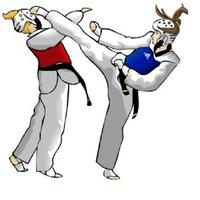 برنامه‌نما taekwondo movement عکس از صفحه