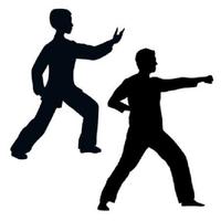 برنامه‌نما tai chi movement عکس از صفحه