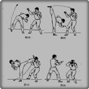Wushu-beweging-APK