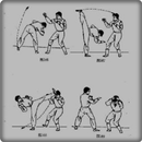 Mouvement wushu APK