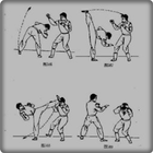 Wushu-beweging-icoon