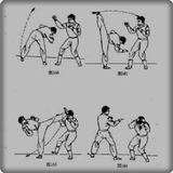Pergerakan Wushu ikon