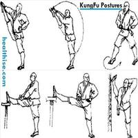 complete wushu movements تصوير الشاشة 1