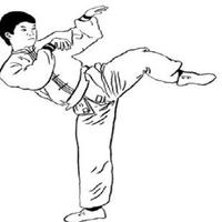 complete wushu movements تصوير الشاشة 3