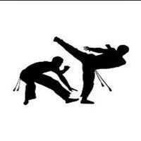 Mouvement martial capoeira capture d'écran 1