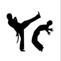 Movimento marcial de capoeira imagem de tela 2