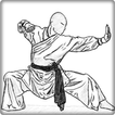 Movimiento de kung fu