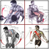 حركات العضلات كمال الاجسام أيقونة