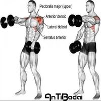 bodybuilding spierbewegingen-poster