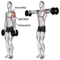 健美肌肉运动 截图 3