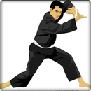 pencak silat hareketi APK