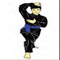 pencak silat movement imagem de tela 2