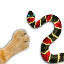 Catch the snake - game for cat APK