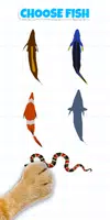 Game tangkap ikan untuk kucing penulis hantaran