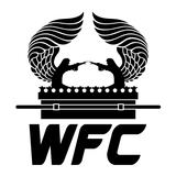 آیکون‌ WFC IKM