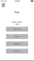 Flag Check syot layar 2