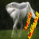 اغرب الحيونات في العالم