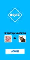 #Quiz Affiche