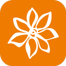 APK ЭБ24