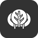 Nella Foresta APK