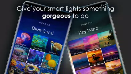 OnSwitch for Philips Hue XAPK Herunterladen