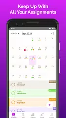 Chipper: Daily Planner Organizer for College XAPK download