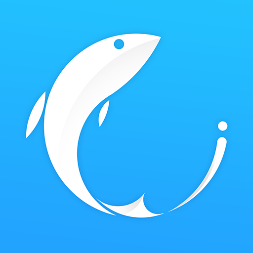 FishVPN – sicher & schnell