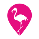 Flamingo On-Demand Fitness APK