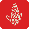 Potzollcalli icon