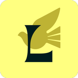 Lokki
