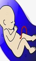 how to Conceive a Baby Plakat
