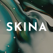 Icona Skina