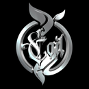 The Coil APK
