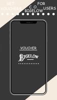 Vouchers for CO Bigelow users Affiche
