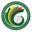 MGLS Conference 2020 ikon
