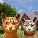 Kitten Cat Simulator 3D Games APK