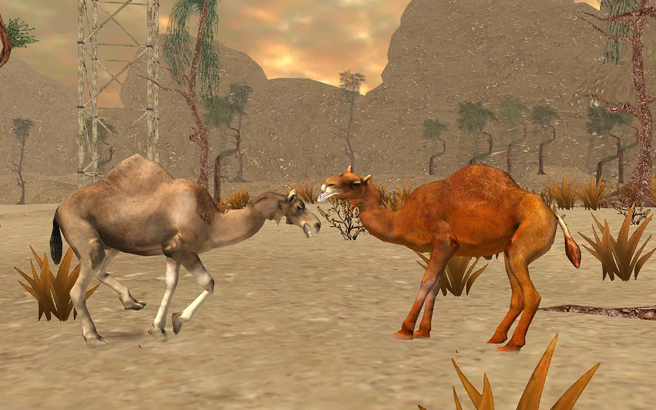 Camel Fight: Life Simulator