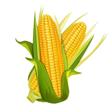 CropWISE ikon