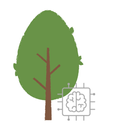 FMS Vĩnh Phúc APK