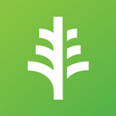 FMS Quảng Ngãi APK