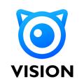 Vision