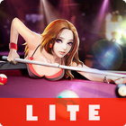 Pool 8 Offline LITE  - Billiards Offline Free 2020 icône