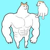 柴犬を進化してみよう アイコン