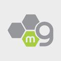mGeld - GenesisGroup