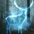 Young wizard - Quest APK