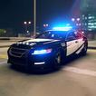 Police Car Chase: Police Games