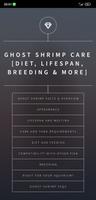 Ghost Shrimp Care Guide poster