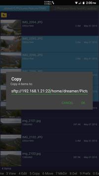 SFTP plugin to Ghost Commander 截图 2