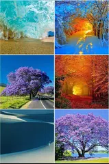 Descargar XAPK de Stickers+